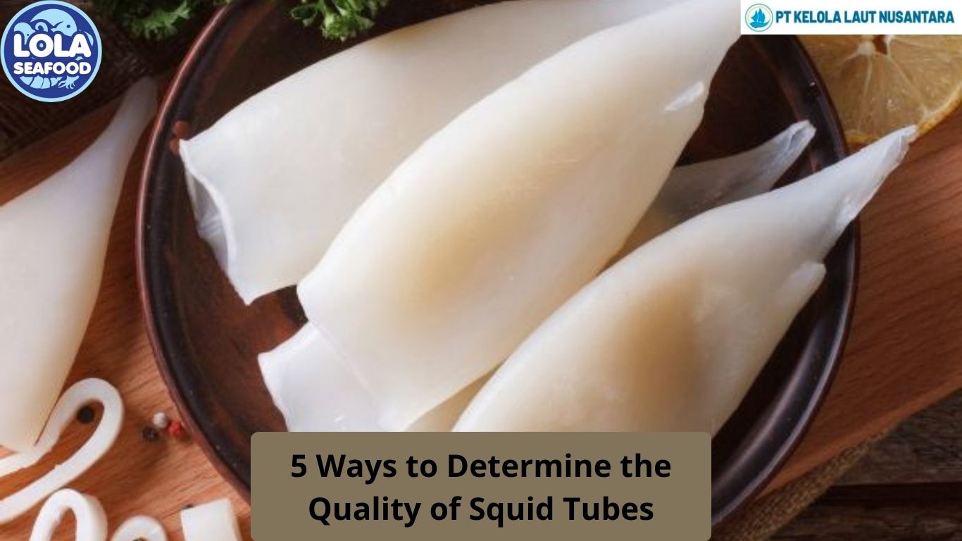 5 Ways to Determine the Quality of Squid Tubes